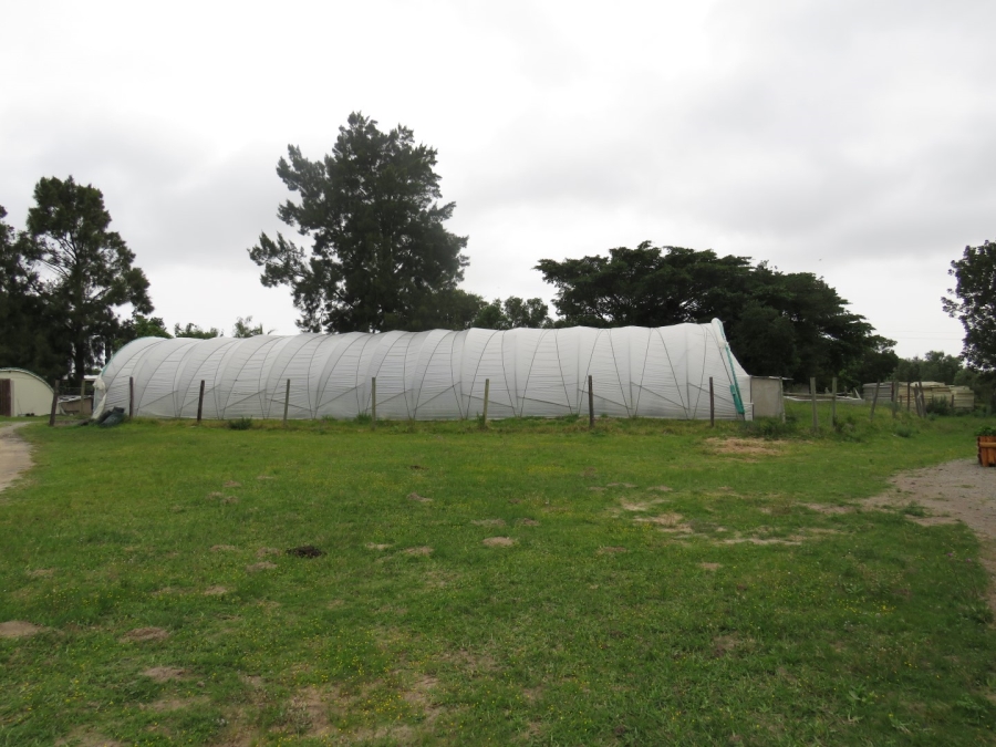 3 Bedroom Property for Sale in Bathurst Eastern Cape